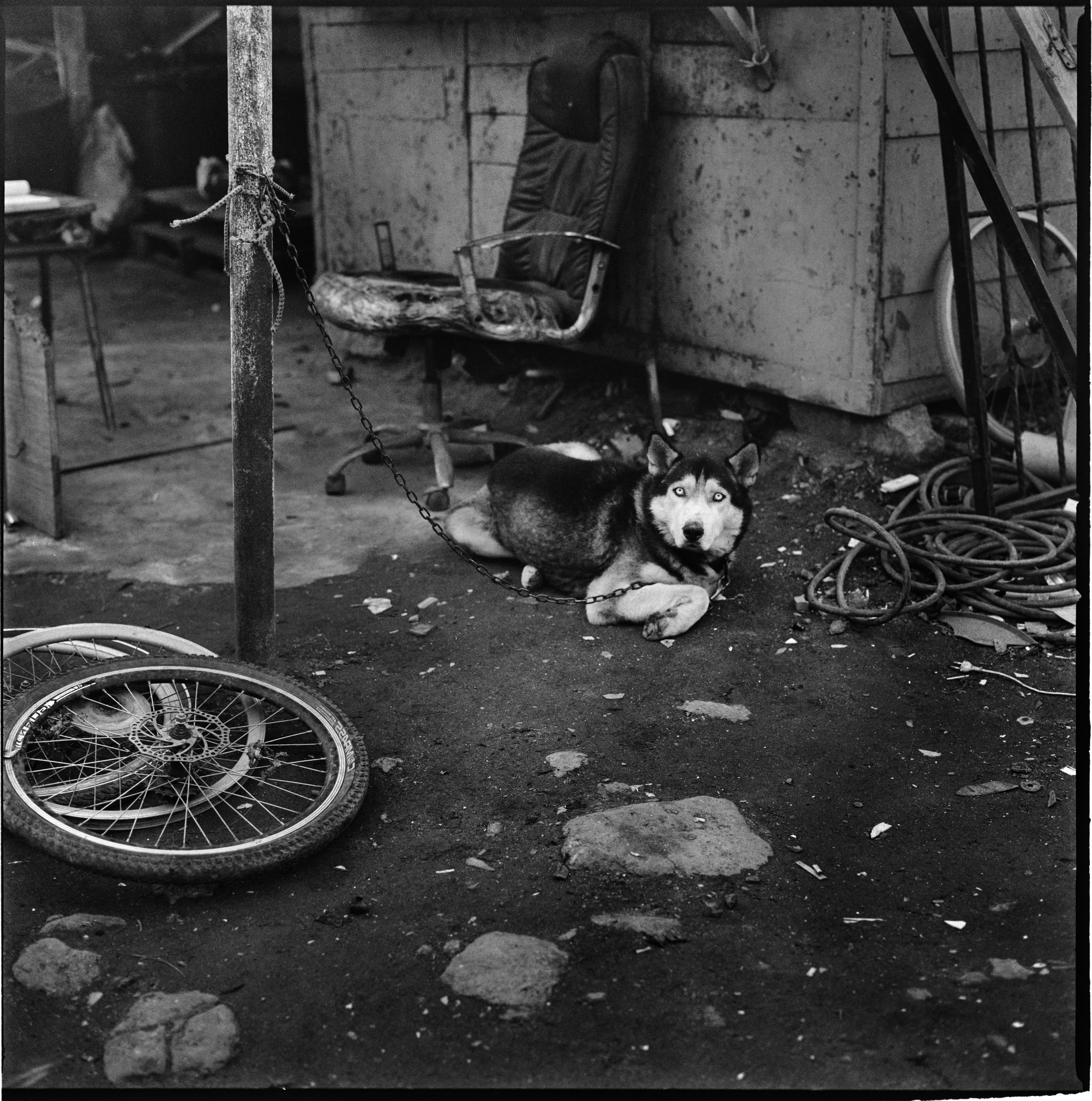 Home, Sweet Home — 3
