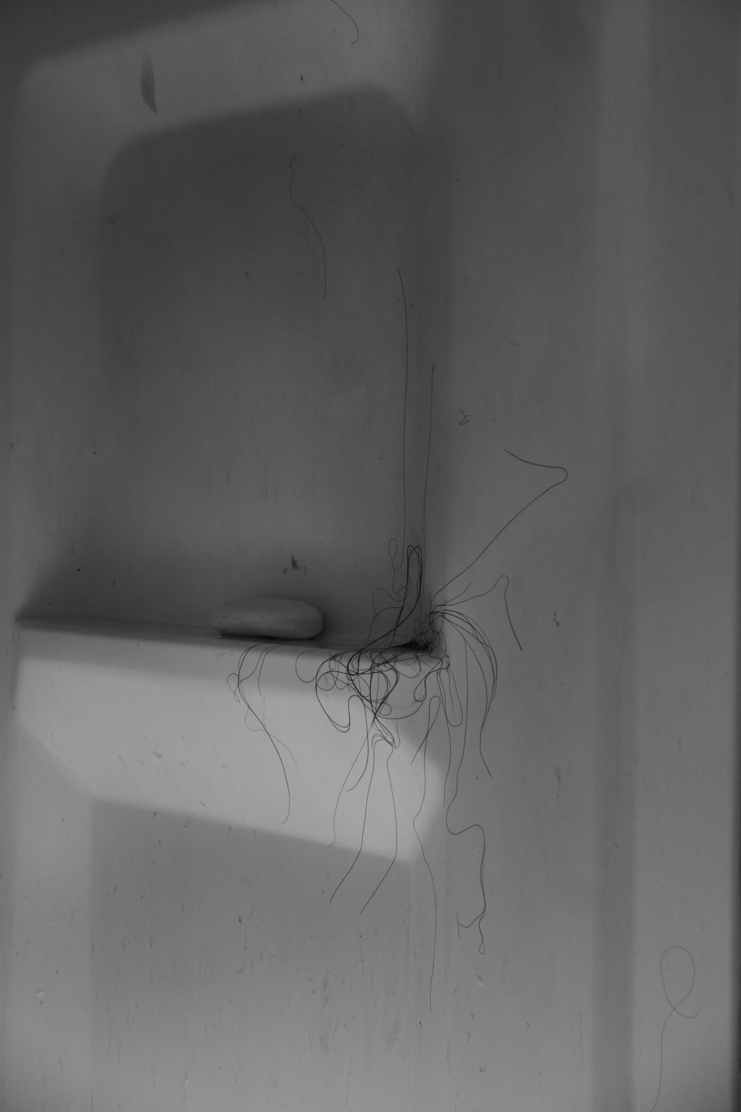 The Mindhouse — hair