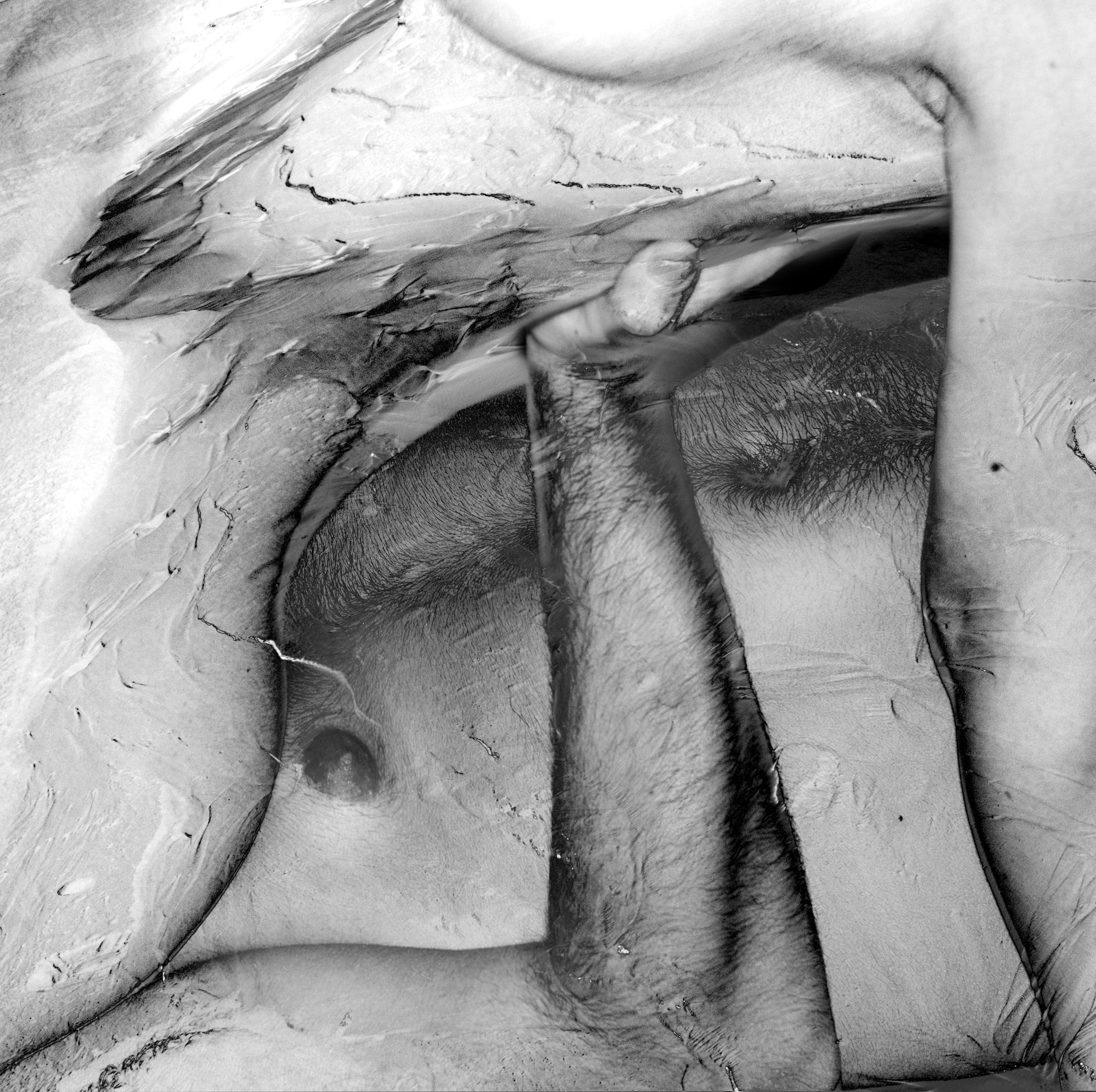 Interior Landscape — skin and weight