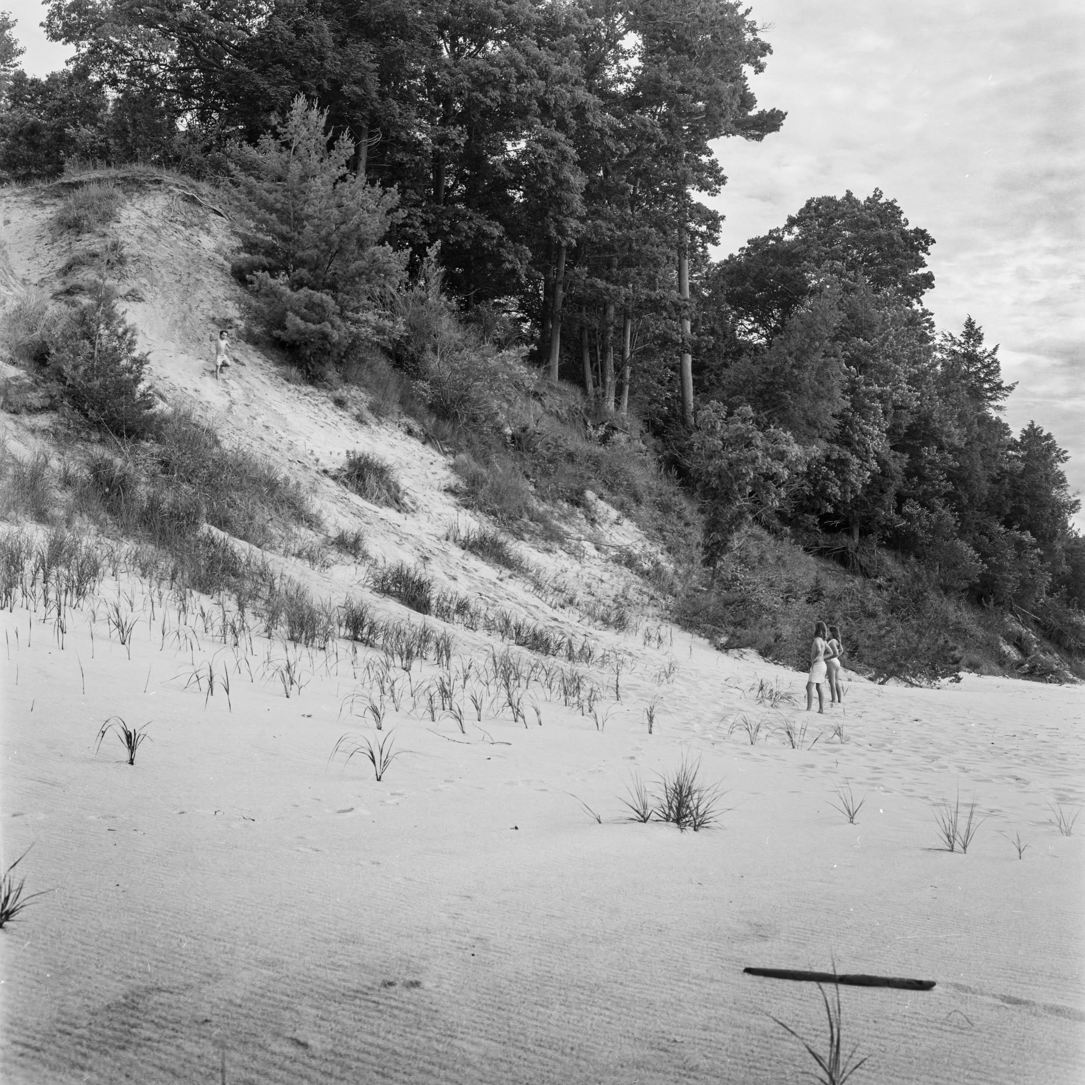 Interior Landscape — figures in vast space, right panel